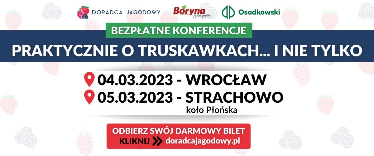 konferencja truskawka