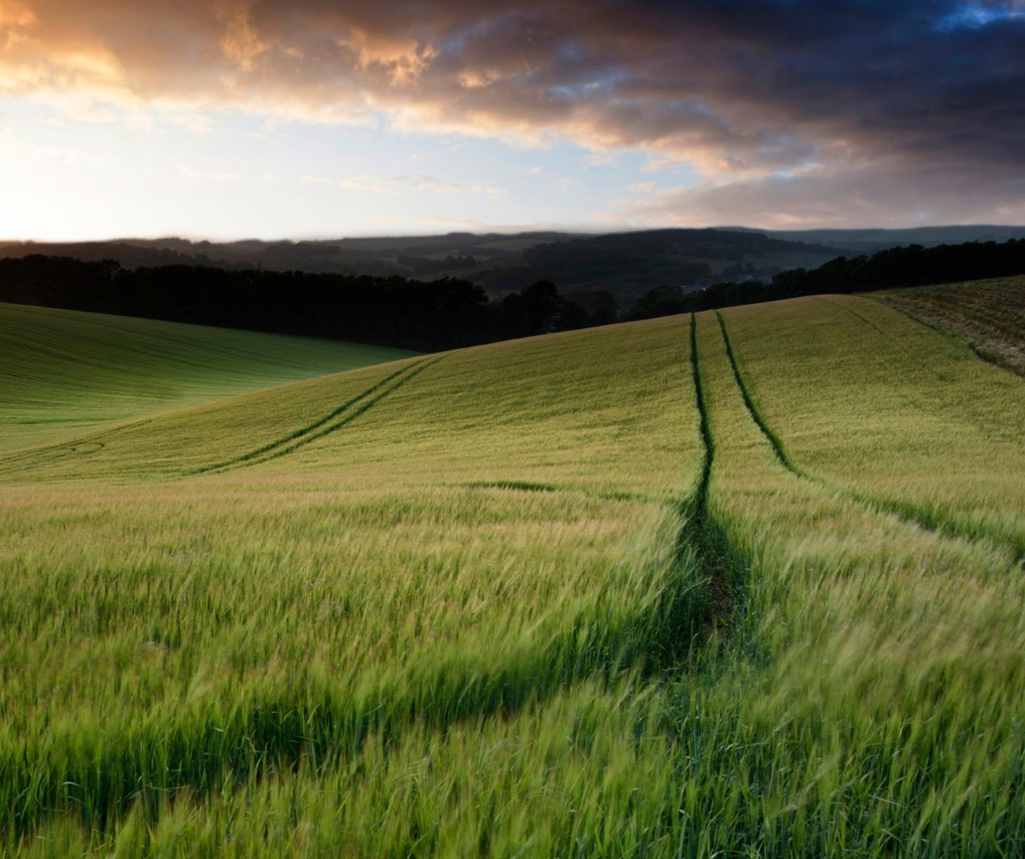 Avtar Pro Fungicyd Foto 