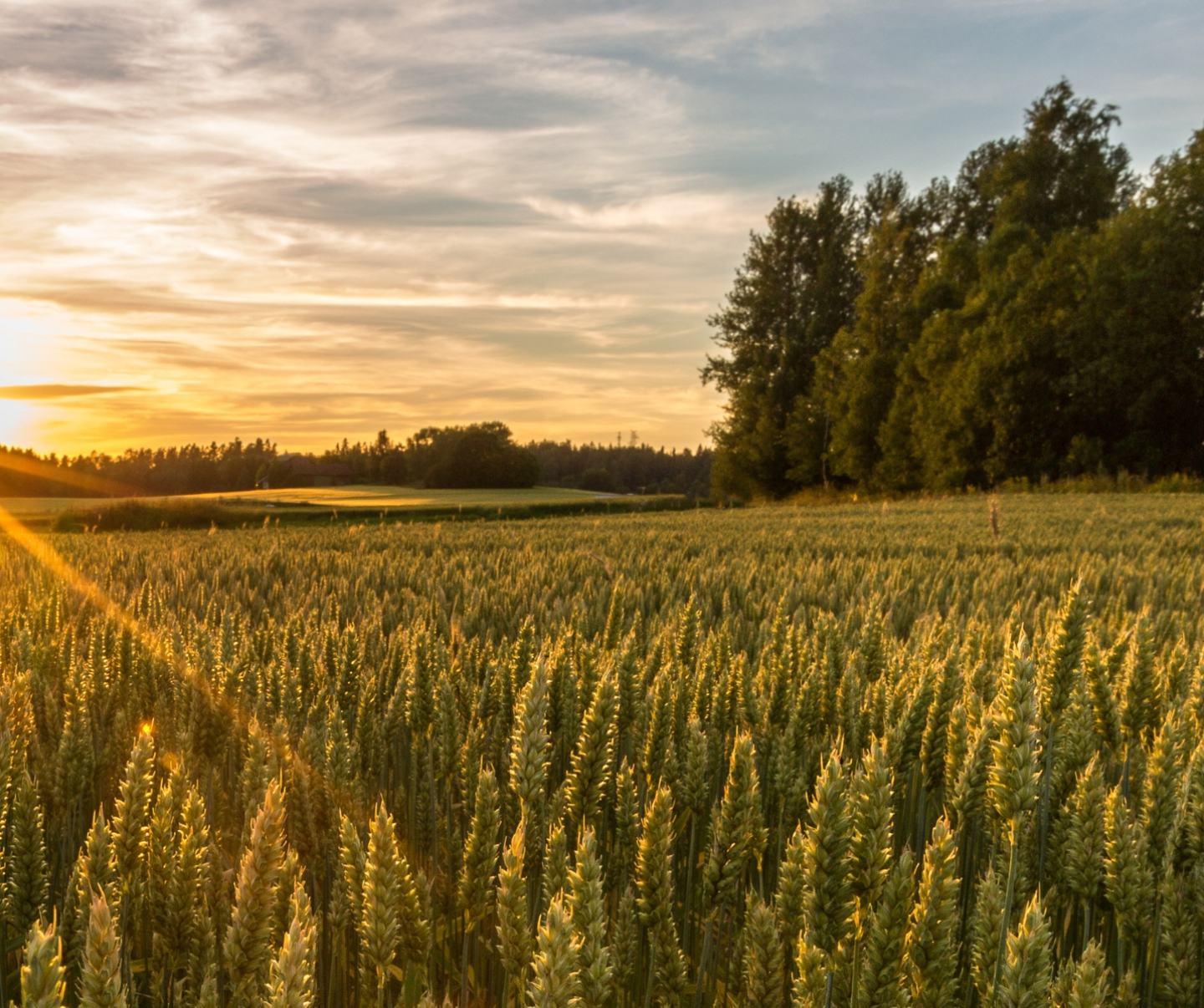 Atevior Pro Pack Herbicyd Foto 