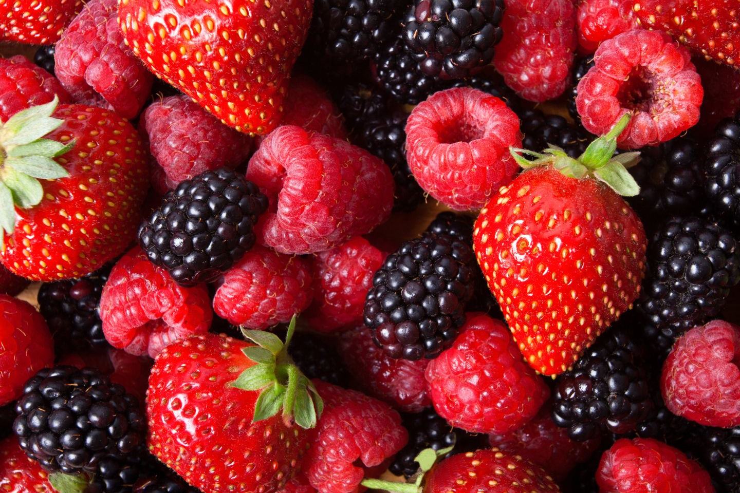 berry tech