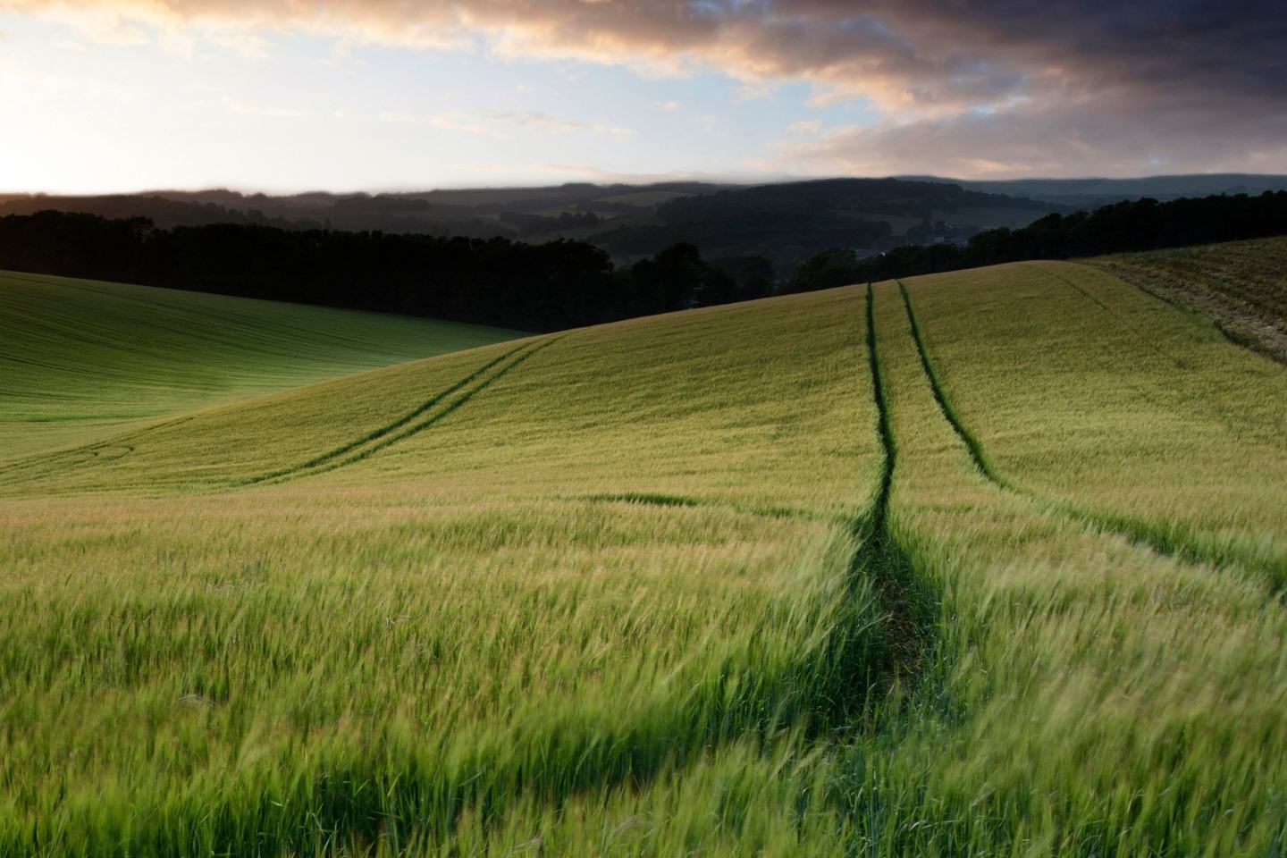 Coulomb 250 SC - KARTA CHARAKTERYSTYKI 